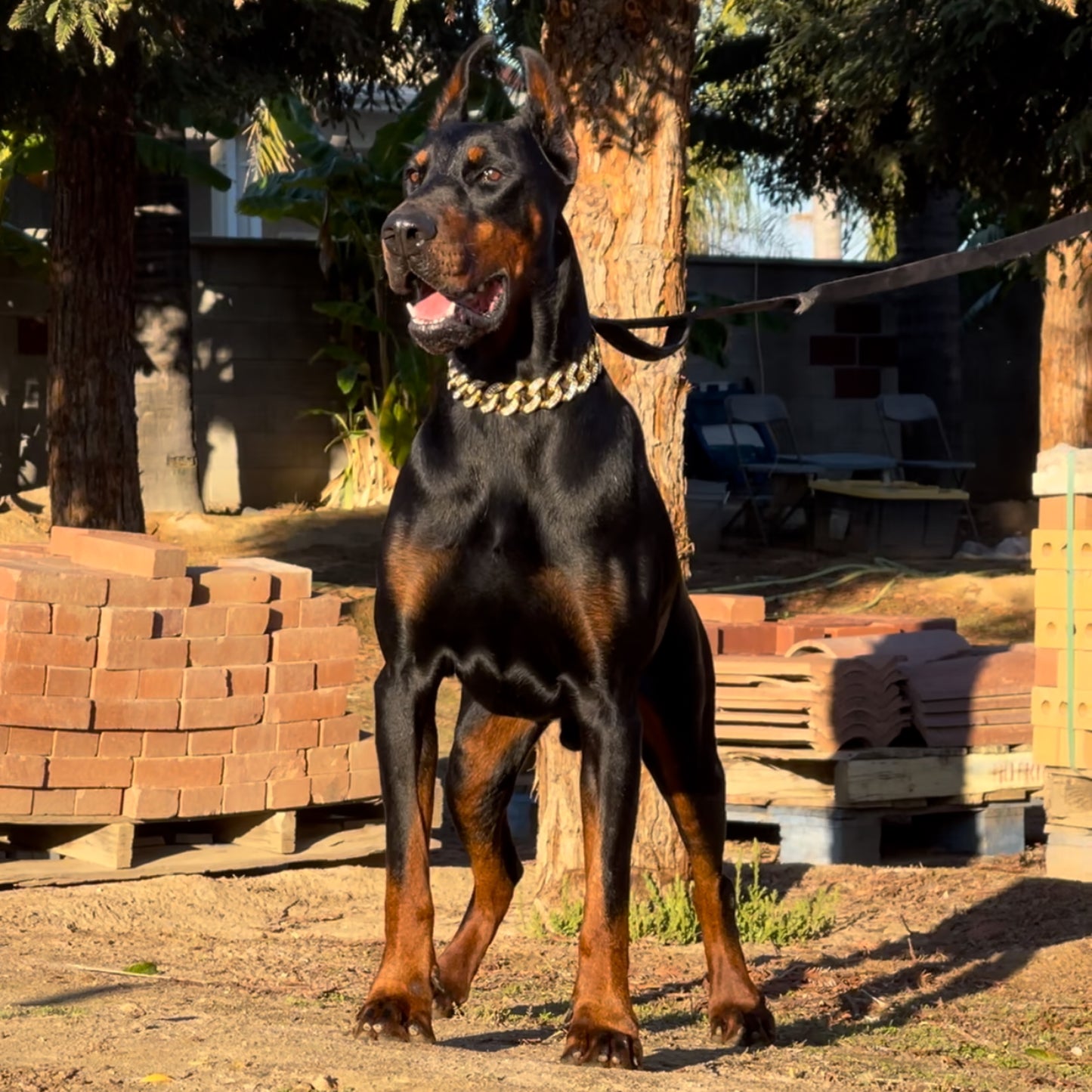 32MM Luxury Gold Collar Chain with Diamonds