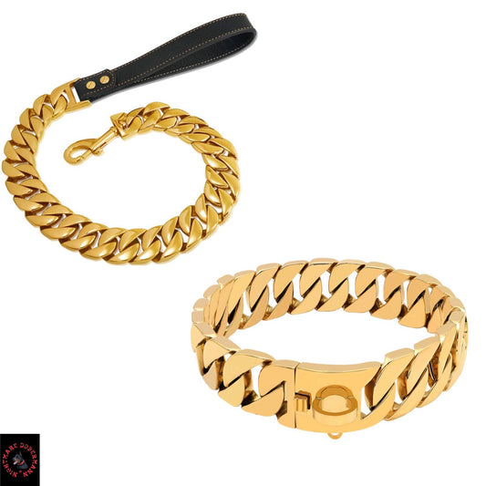 Gold Luxury Dog Collar + Luxury Gold Leash Bundle